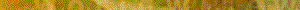 trahsepa.gif (1421 Byte)